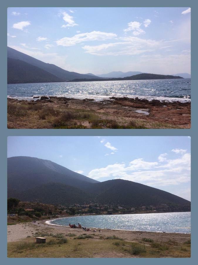 Seaside Villa In Alikes, Chalkida Drosia  Exterior photo