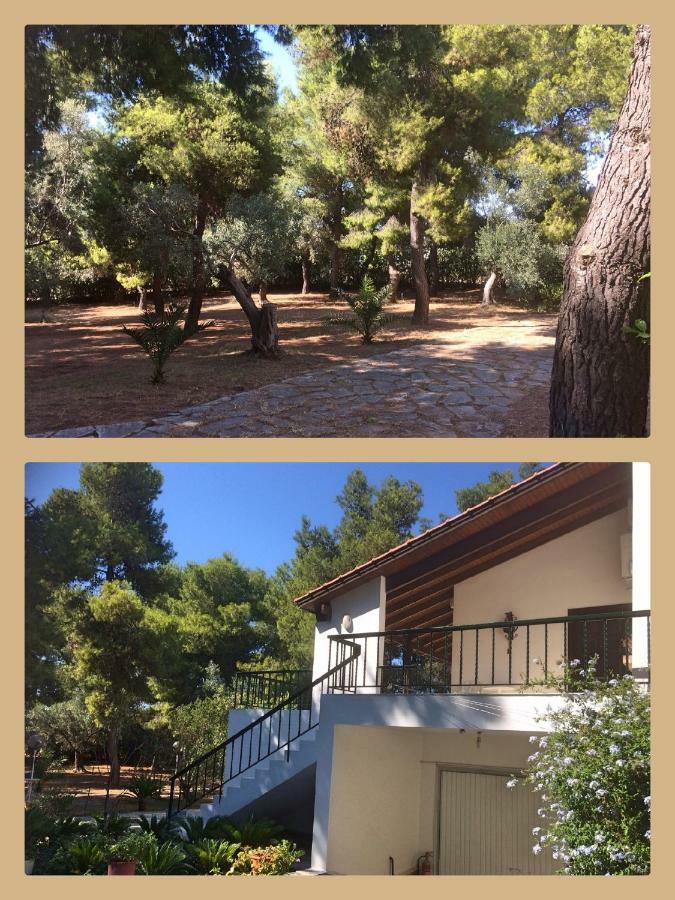 Seaside Villa In Alikes, Chalkida Drosia  Exterior photo