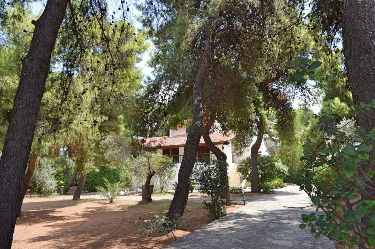 Seaside Villa In Alikes, Chalkida Drosia  Exterior photo