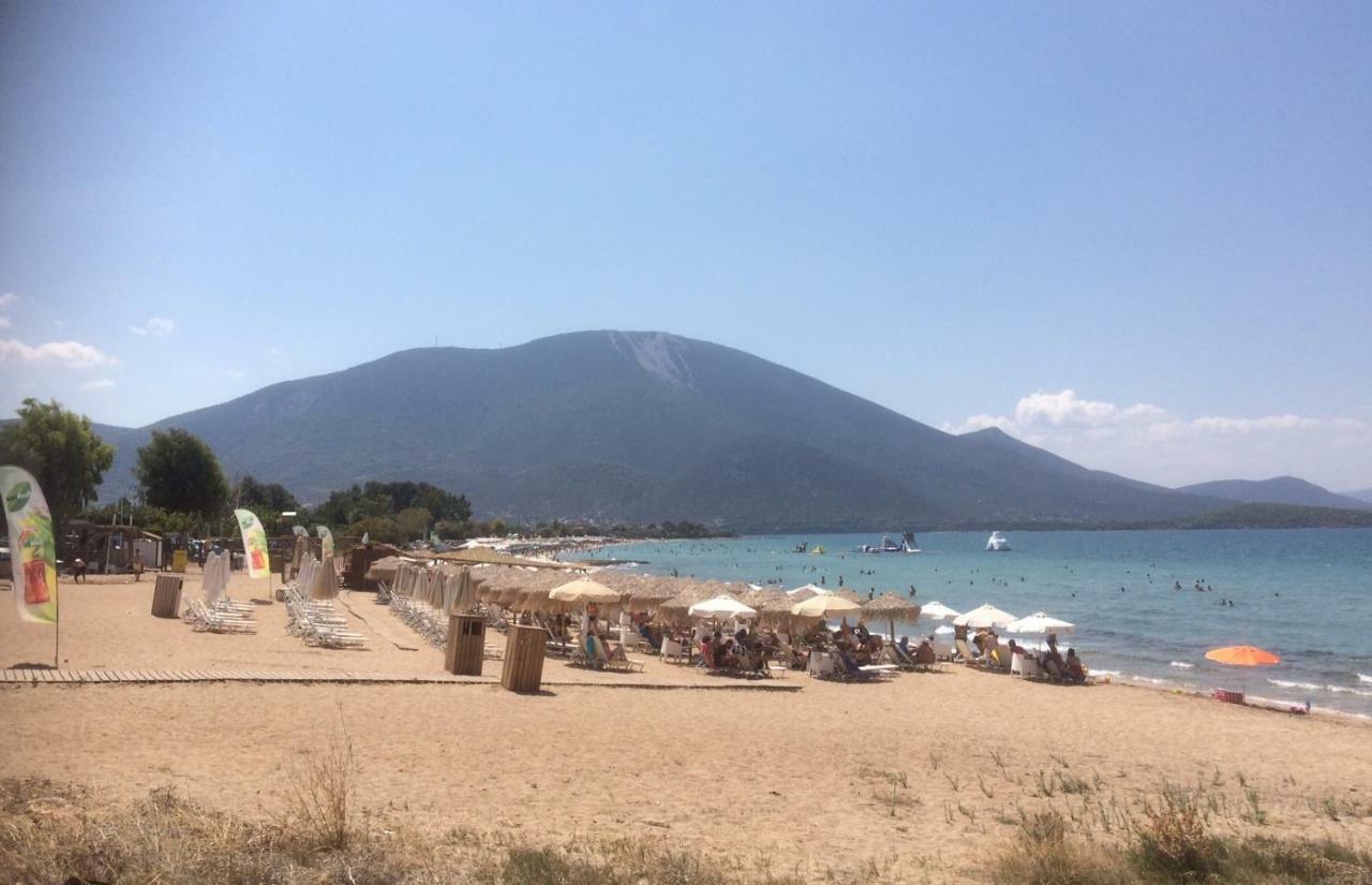 Seaside Villa In Alikes, Chalkida Drosia  Exterior photo