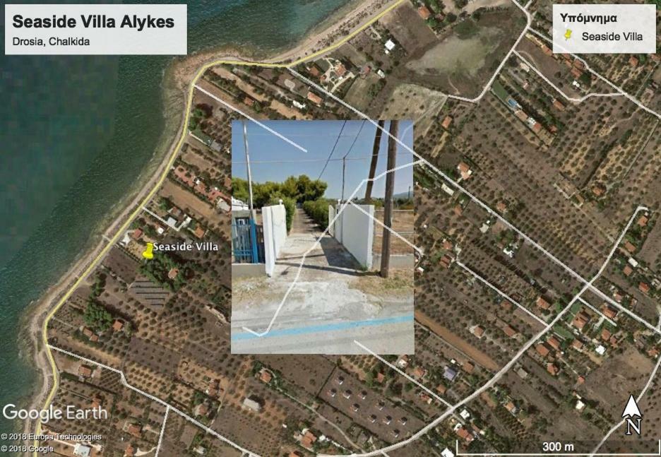 Seaside Villa In Alikes, Chalkida Drosia  Exterior photo